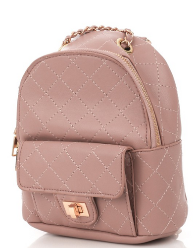 Going My Way Mini Backpack