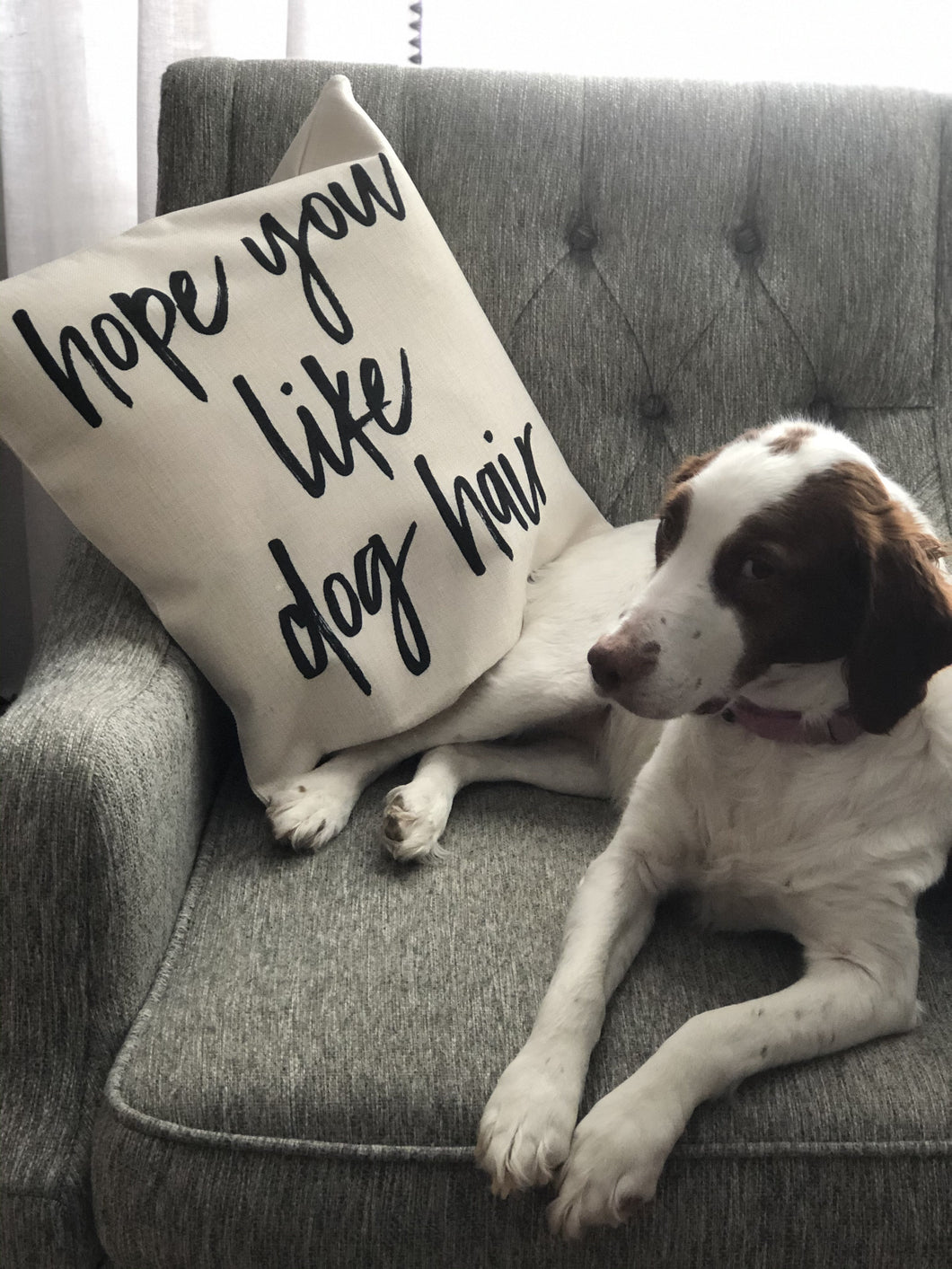Hope you like dog hair pillow